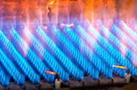 Beadlow gas fired boilers